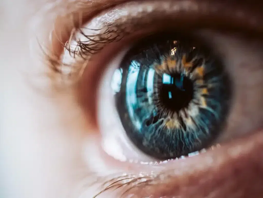 ojo close up